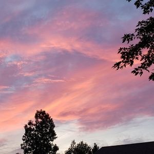 Meet your Posher, Deeanna